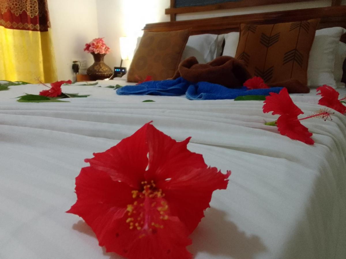 Sigiriya Village Home Stay & Private Room Luaran gambar
