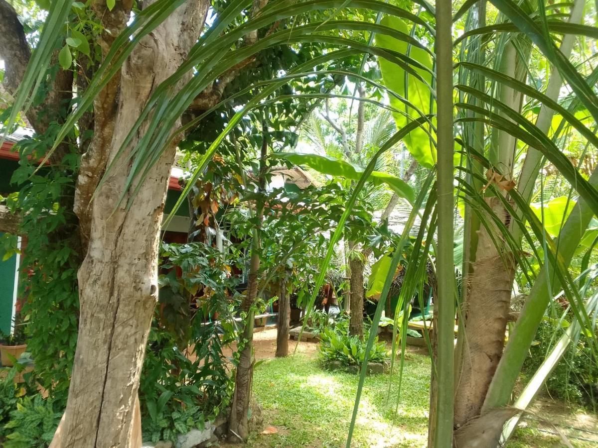 Sigiriya Village Home Stay & Private Room Luaran gambar